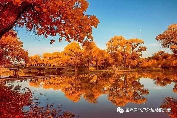 大厦管理者