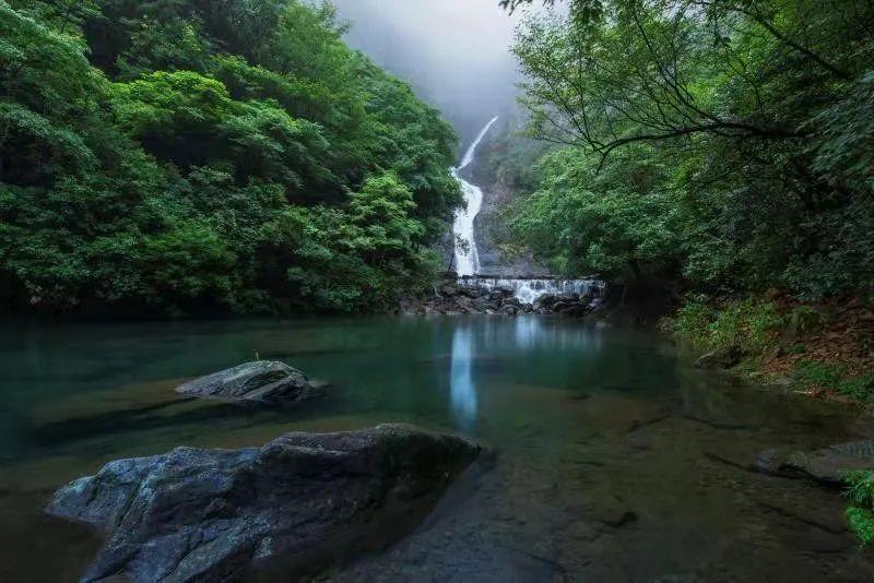又被监管盯上  合盛硅业举报门升级